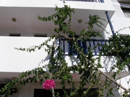 Aparthotel Bay Watch Karpatos Zewnętrze zdjęcie